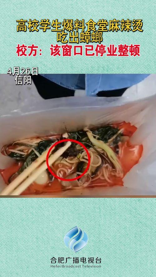 大学生爆料麻辣烫视频,大学生自制美食走红网络