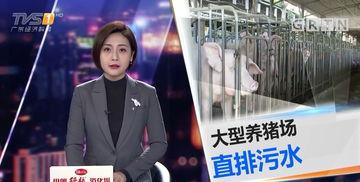 今日一线会爆料,揭秘娱乐圈惊人内幕  第1张